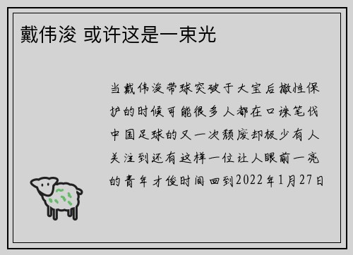 戴伟浚 或许这是一束光